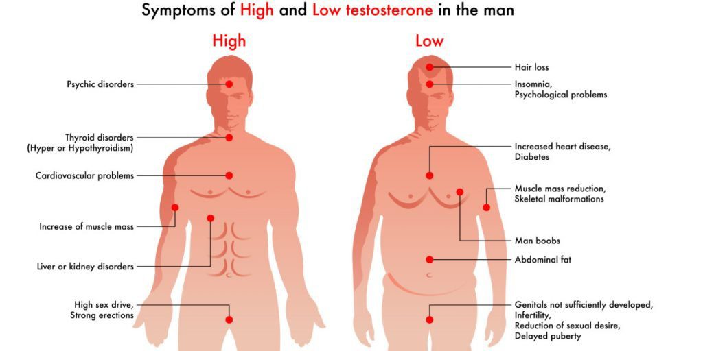 Testosteron: Wirkung auf Körper und Wohlbefinden