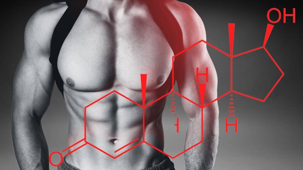 Ashwagandha und Testosteron: Daten und Risiken