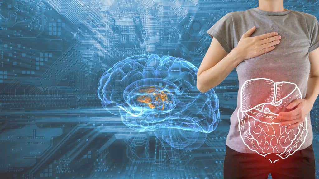 Ghrelin und Hunger: Signale des Körpers verstehen